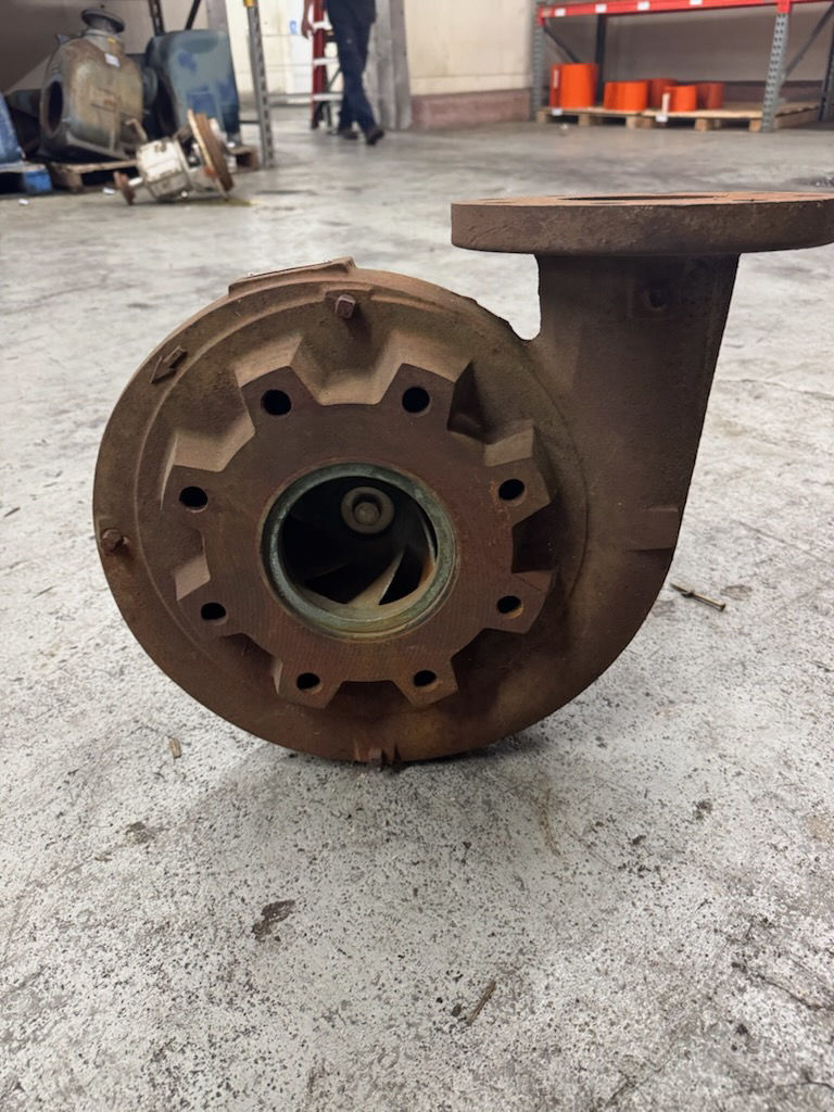 3244